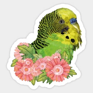 Australian parakeet Sticker